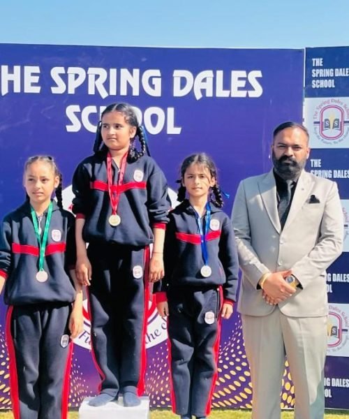 19.2nd3rdZigZagHurldleBallRace